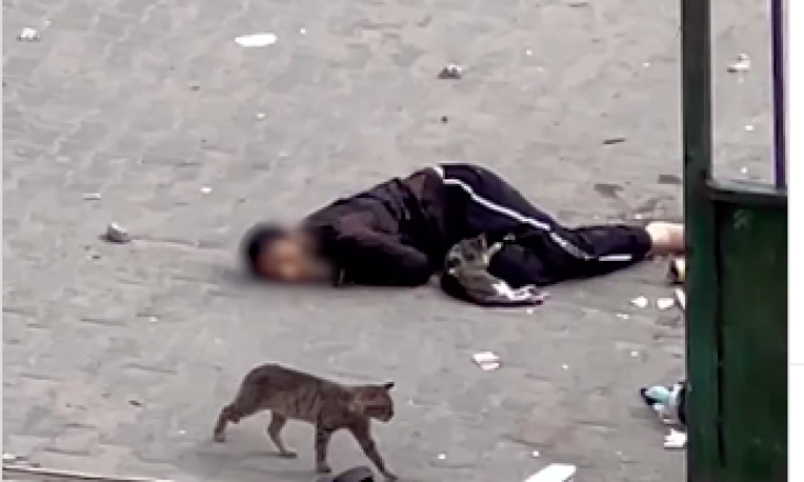قوات الاحتلال الإسرائيلي جعلت مراكز مساعدات غزة مصائد للموت